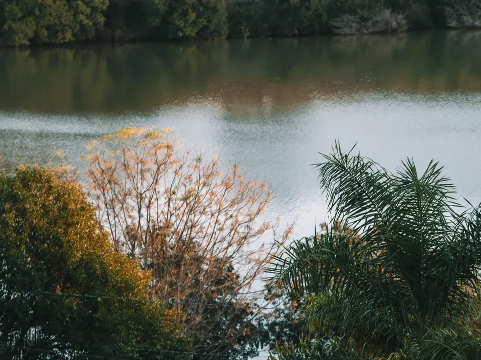 O lago em frente à cabana, cercado de mata